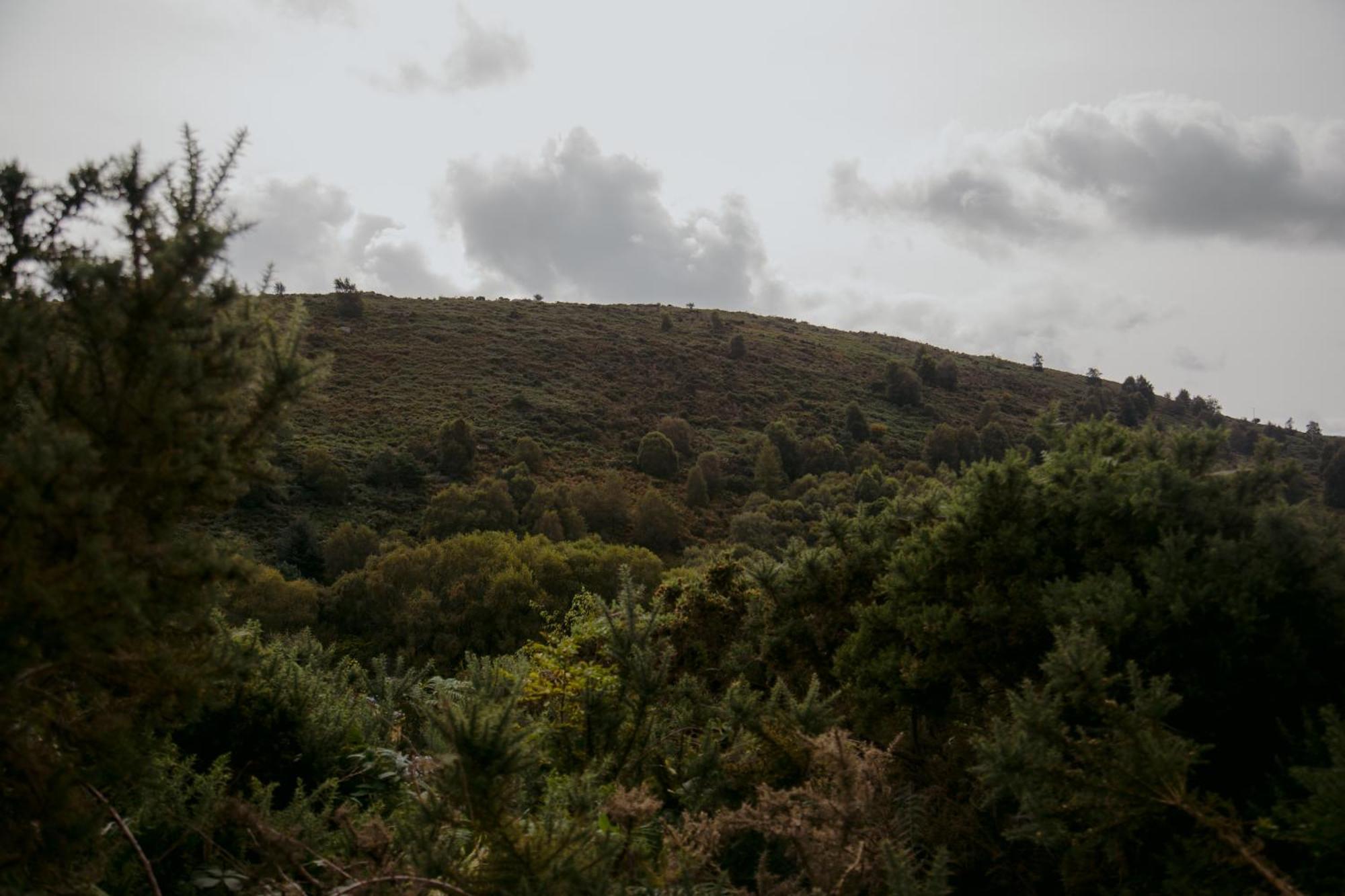 ララー The Deerstone Luxury Eco Hideawayヴィラ エクステリア 写真