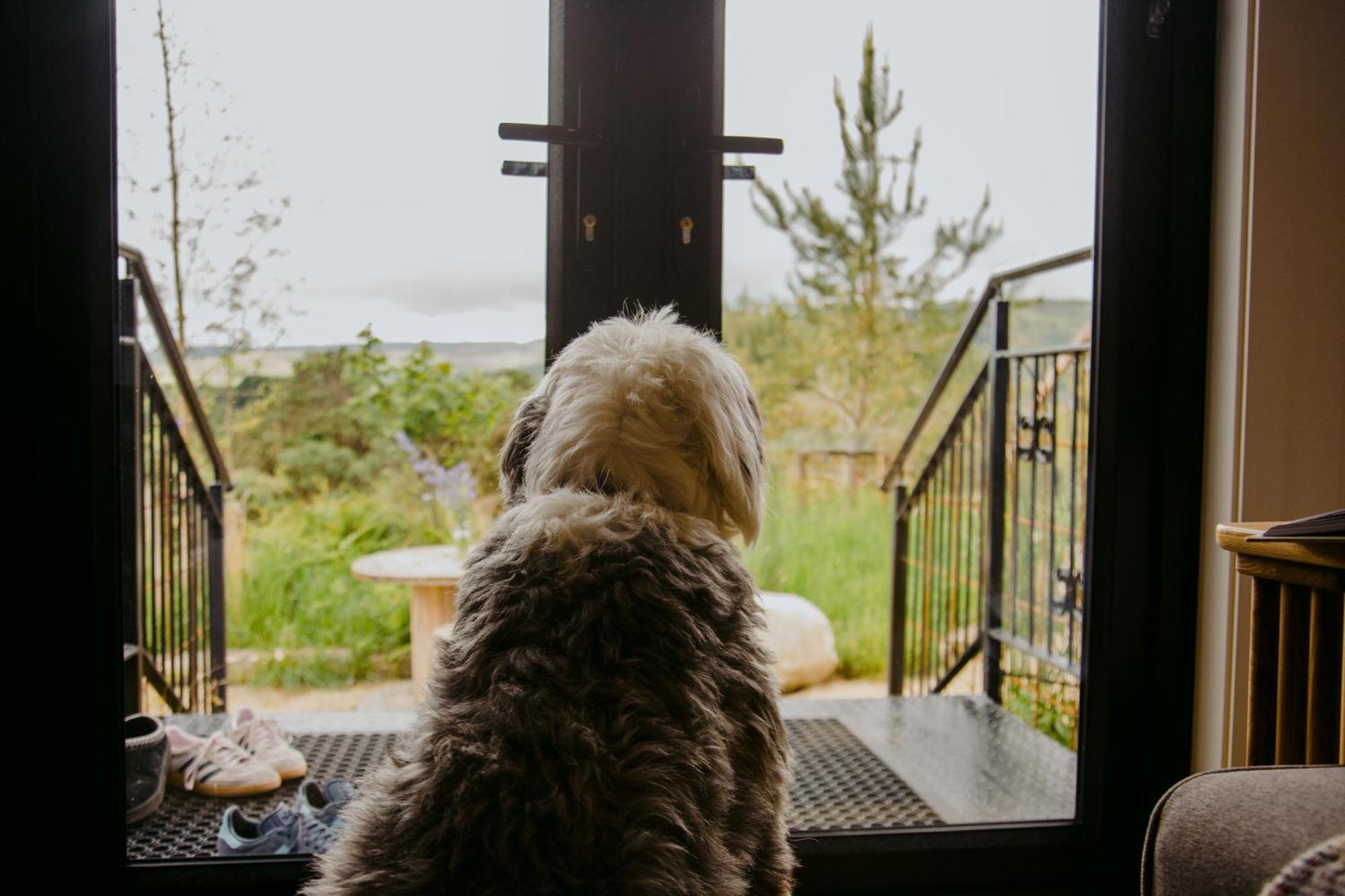 ララー The Deerstone Luxury Eco Hideawayヴィラ エクステリア 写真